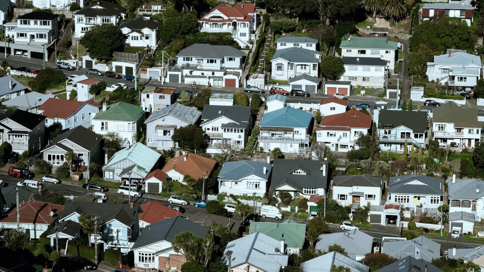 Aerial view of weatherboard houses on a Wellington hillside.