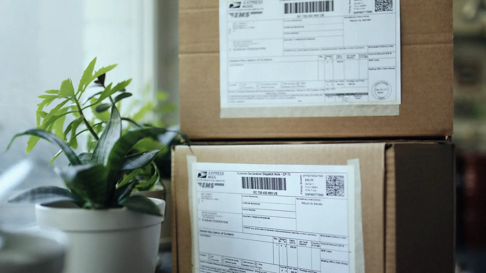 Parcels with shipping labels stacked beside a potted plant.